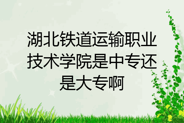 湖北铁道运输职业技术学院是中专还是大专啊