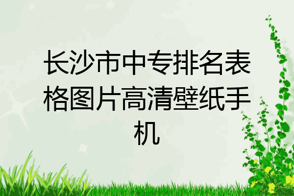 长沙市中专排名表格图片高清壁纸手机