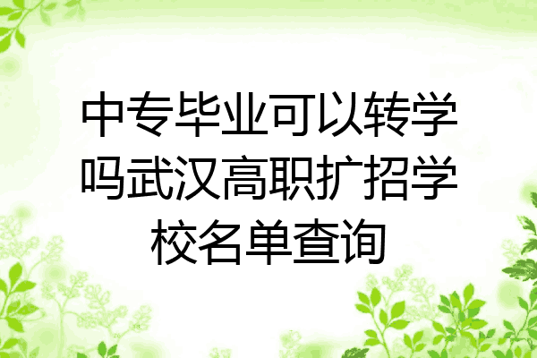 中专毕业可以转学吗武汉高职扩招学校名单查询