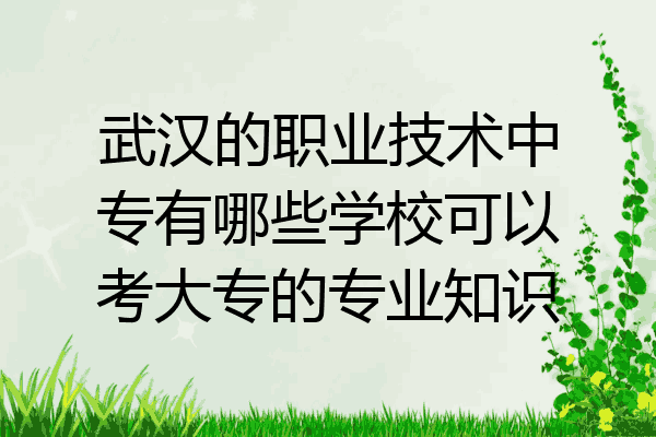 武汉的职业技术中专有哪些学校可以考大专的专业知识