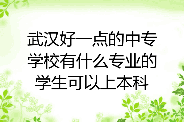 武汉好一点的中专学校有什么专业的学生可以上本科