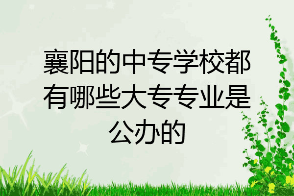 襄阳的中专学校都有哪些大专专业是公办的