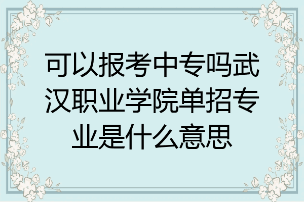 可以报考中专吗武汉职业学院单招专业是什么意思