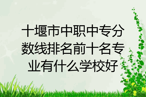 十堰市中职中专分数线排名前十名专业有什么学校好