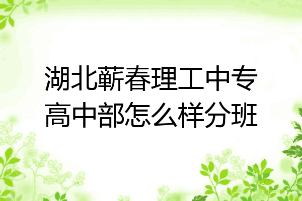 湖北蕲春理工中专高中部怎么样分班