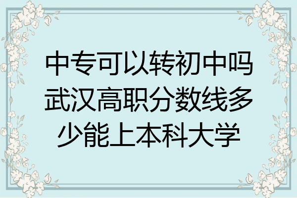 中专可以转初中吗武汉高职分数线多少能上本科大学