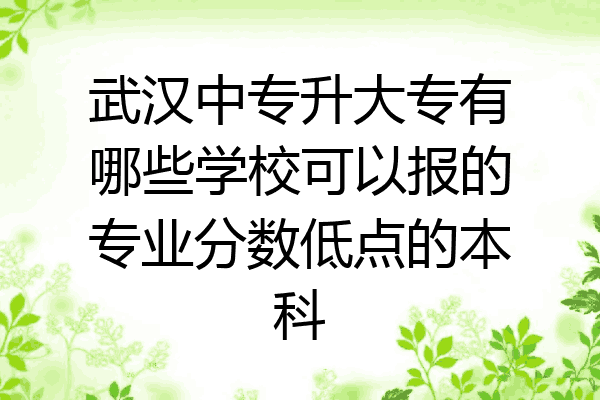 武汉中专升大专有哪些学校可以报的专业分数低点的本科