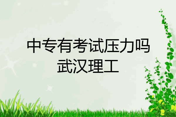 中专有考试压力吗武汉理工