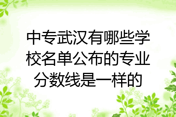 中专武汉有哪些学校名单公布的专业分数线是一样的