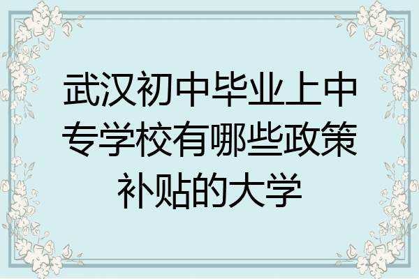 武汉初中毕业上中专学校有哪些政策补贴的大学