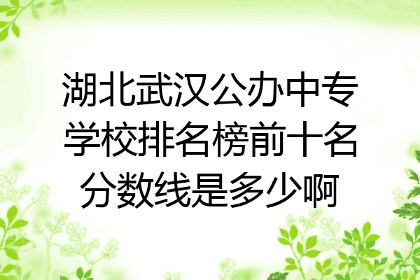 湖北武汉公办中专学校排名榜前十名分数线是多少啊