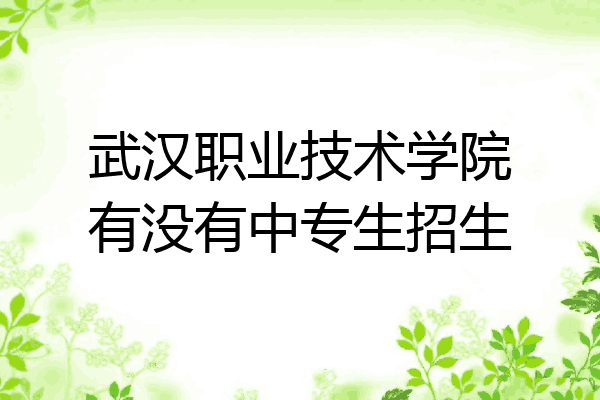 武汉职业技术学院有没有中专生招生