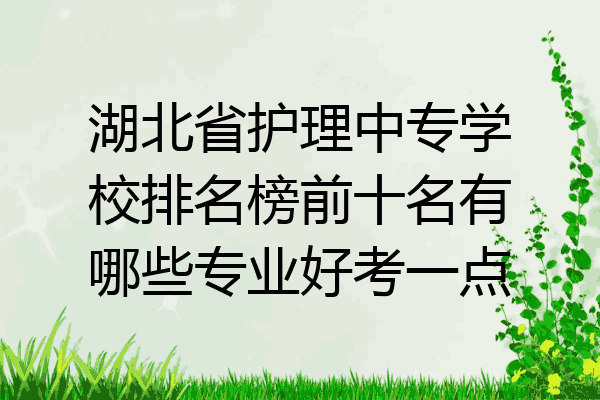 湖北省护理中专学校排名榜前十名有哪些专业好考一点
