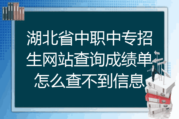湖北省中职中专招生网站查询成绩单怎么查不到信息