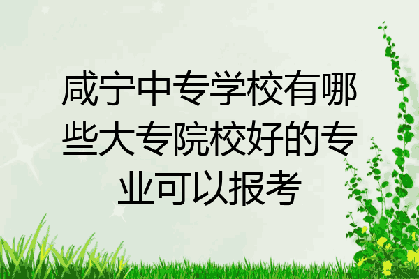 咸宁中专学校有哪些大专院校好的专业可以报考