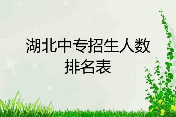 湖北中专招生人数排名表