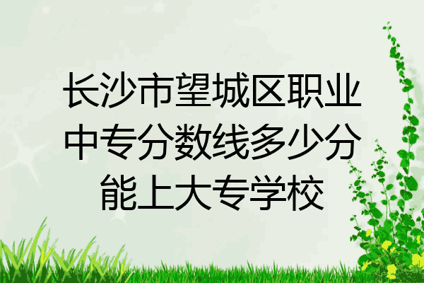 长沙市望城区职业中专分数线多少分能上大专学校