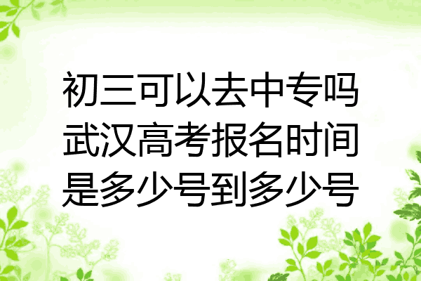 初三可以去中专吗武汉高考报名时间是多少号到多少号