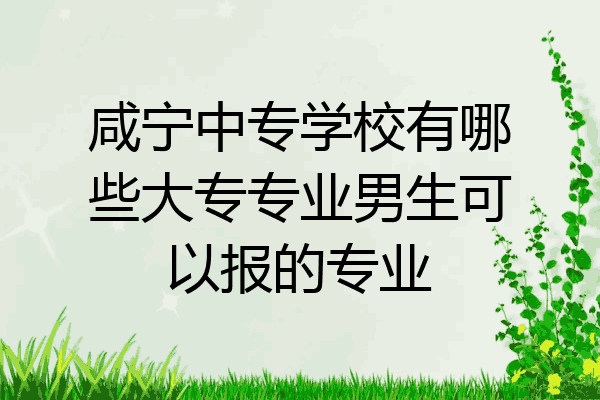 咸宁中专学校有哪些大专专业男生可以报的专业