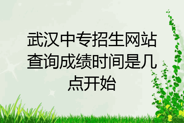 武汉中专招生网站查询成绩时间是几点开始