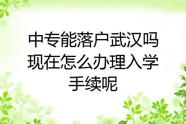中专能落户武汉吗现在怎么办理入学手续呢