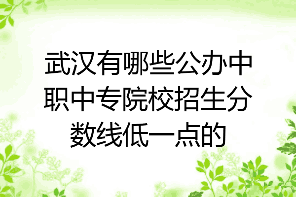 武汉有哪些公办中职中专院校招生分数线低一点的
