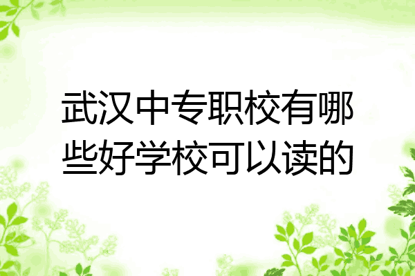 武汉中专职校有哪些好学校可以读的