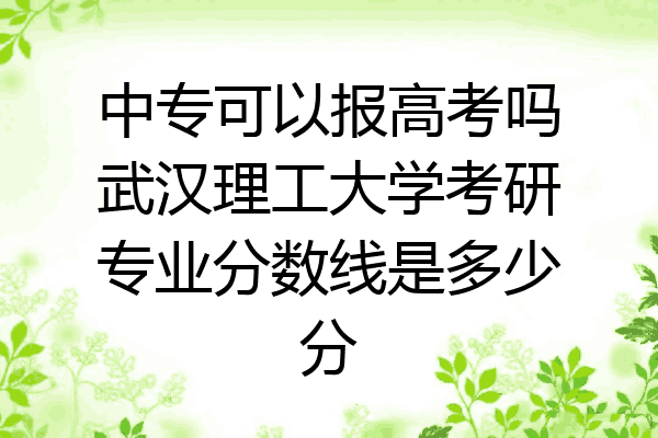中专可以报高考吗武汉理工大学考研专业分数线是多少分