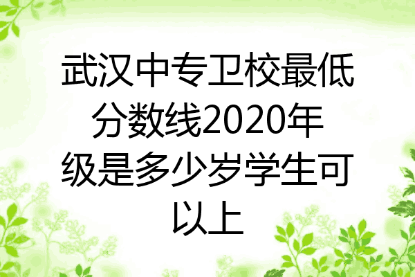 武汉中专卫校最低分数线2020年级是多少岁学生可以上