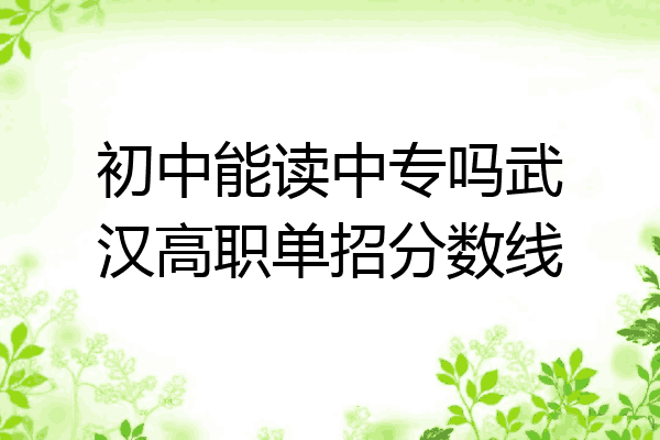 初中能读中专吗武汉高职单招分数线