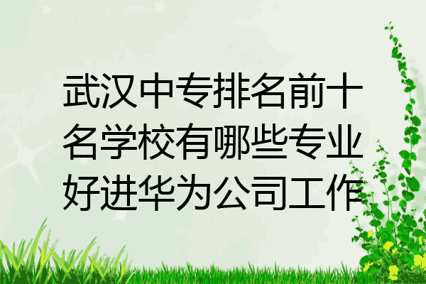 武汉中专排名前十名学校有哪些专业好进华为公司工作