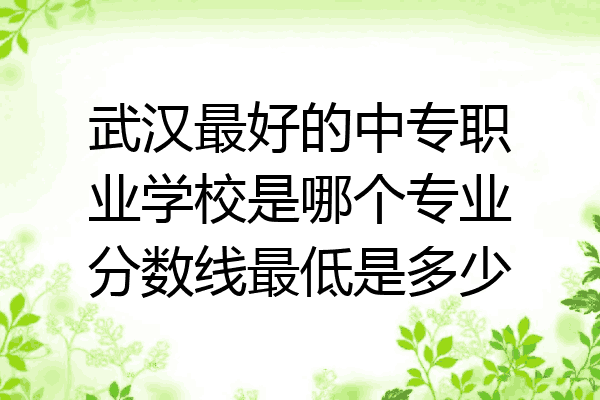 武汉最好的中专职业学校是哪个专业分数线最低是多少