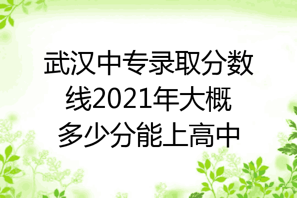 武汉中专录取分数线2021年大概多少分能上高中