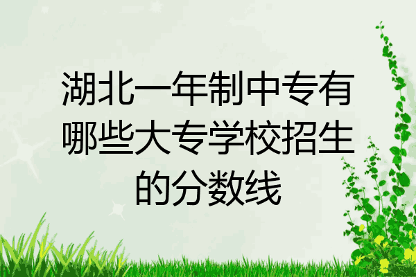 湖北一年制中专有哪些大专学校招生的分数线