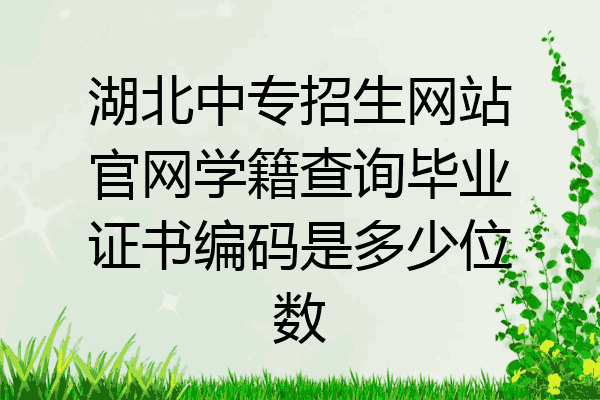 湖北中专招生网站官网学籍查询毕业证书编码是多少位数