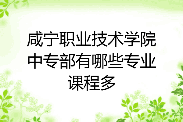 咸宁职业技术学院中专部有哪些专业课程多