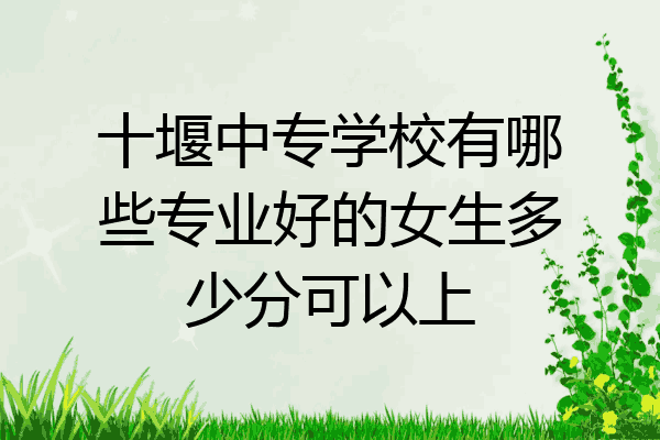 十堰中专学校有哪些专业好的女生多少分可以上