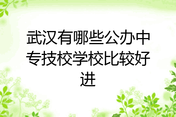 武汉有哪些公办中专技校学校比较好进