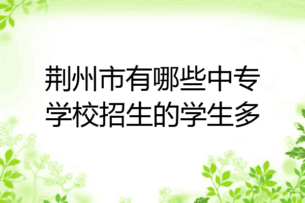 荆州市有哪些中专学校招生的学生多