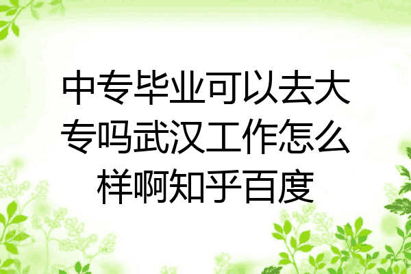 中专毕业可以去大专吗武汉工作怎么样啊知乎百度
