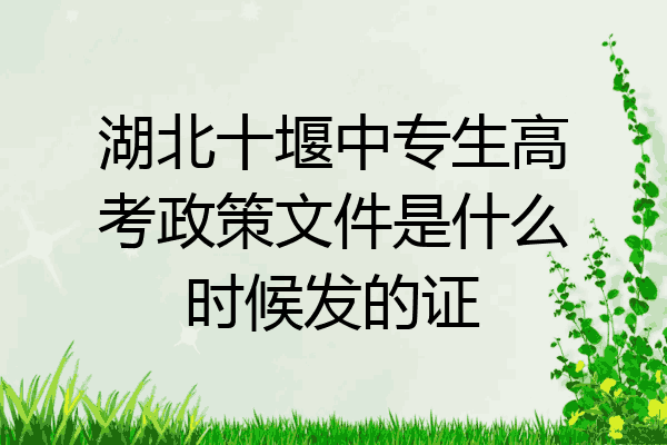 湖北十堰中专生高考政策文件是什么时候发的证