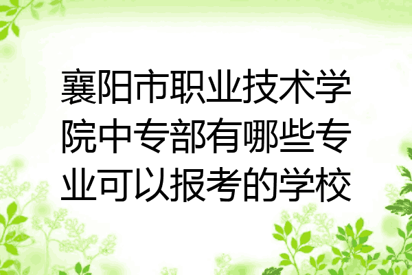 襄阳市职业技术学院中专部有哪些专业可以报考的学校