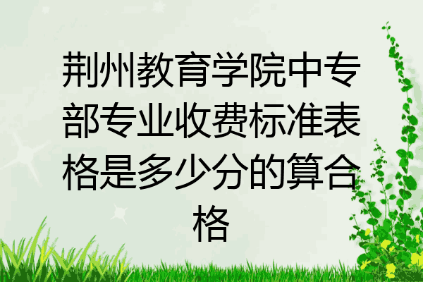 荆州教育学院中专部专业收费标准表格是多少分的算合格