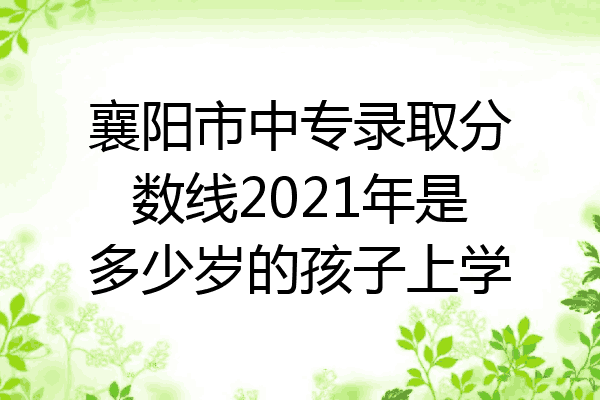 襄阳市中专录取分数线2021年是多少岁的孩子上学