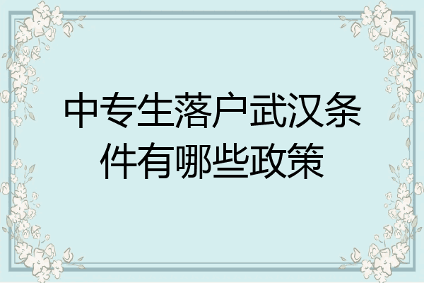 中专生落户武汉条件有哪些政策