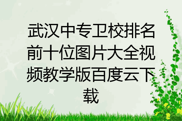 武汉中专卫校排名前十位图片大全视频教学版百度云下载