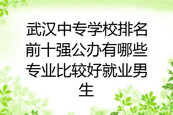 武汉中专学校排名前十强公办有哪些专业比较好就业男生