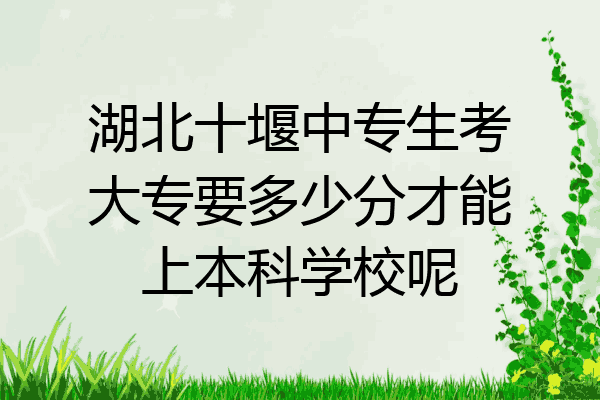 湖北十堰中专生考大专要多少分才能上本科学校呢