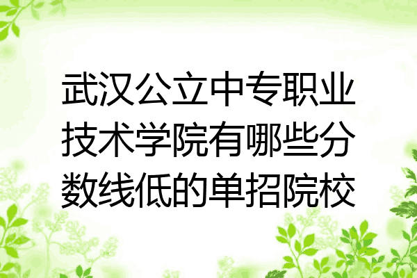 武汉公立中专职业技术学院有哪些分数线低的单招院校