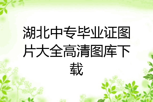 湖北中专毕业证图片大全高清图库下载